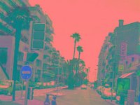 IMGP2742 edited (Medium)